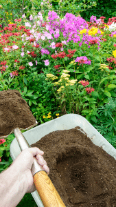 Overcoming Nutrient Deficiencies Through Composting