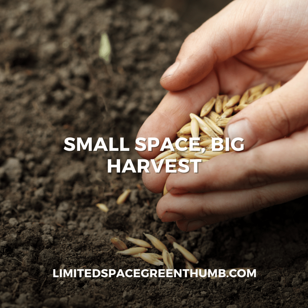 Small Space Big Harvest